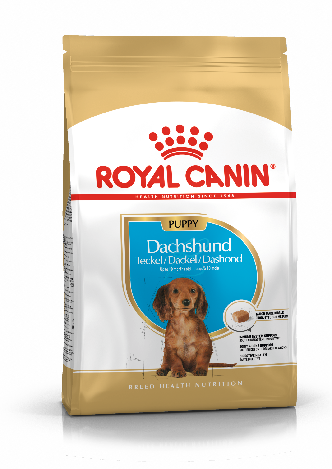 Royal Canin BHN Dachshund Puppy | Cachorros