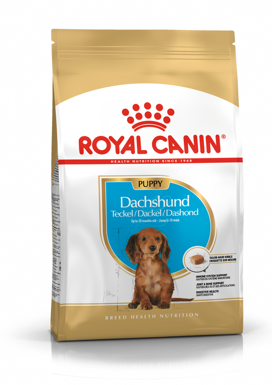 Royal Canin BHN Dachshund Junior | Cachorros