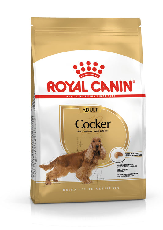 Royal Canin BHN Cocker | Adultos
