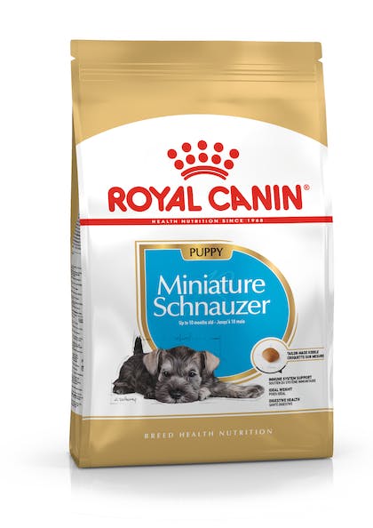 Royal Canin BHN Schnauzer Miniature Junior | Cachorros