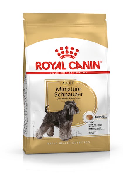 Royal Canin BHN Schnauzer | Adultos