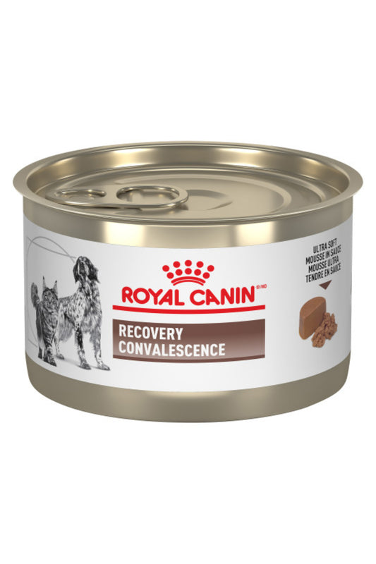 Royal Canin® Wet Recovery Fel/Can x 195g