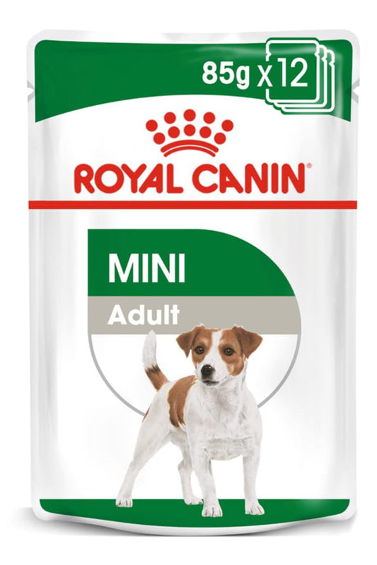 Royal Canin SHN Mini | Adultos +8