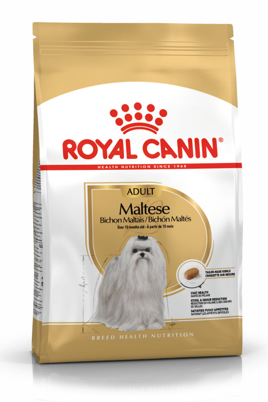 Royal Canin BHN Maltese Adult | Adultos