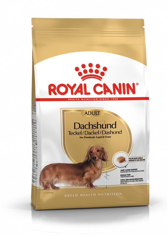 Royal Canin BHN Dachshund | Adultos