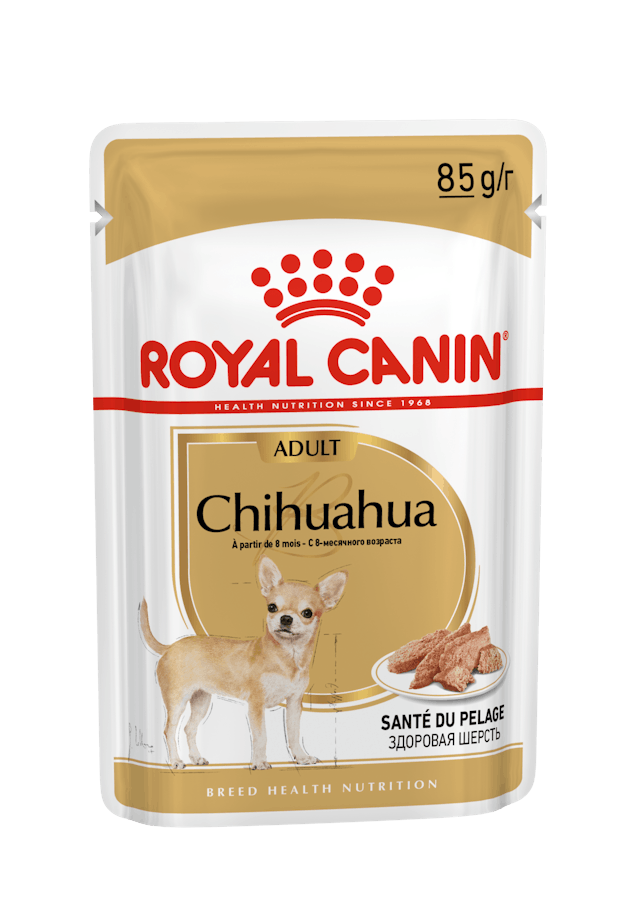 Royal Canin BHN Sobre Chihuahua | ADULTO