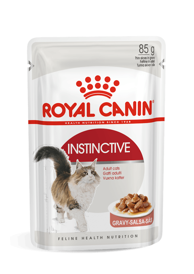 Royal Canin FHN Sobre Instinctive Alimento Húmedo | ADULTO