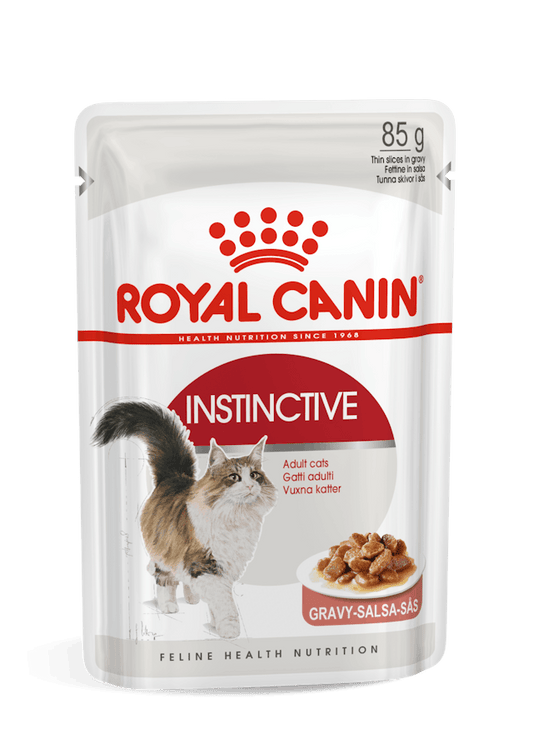 Royal Canin FHN Sobre Instinctive Alimento Húmedo | ADULTO