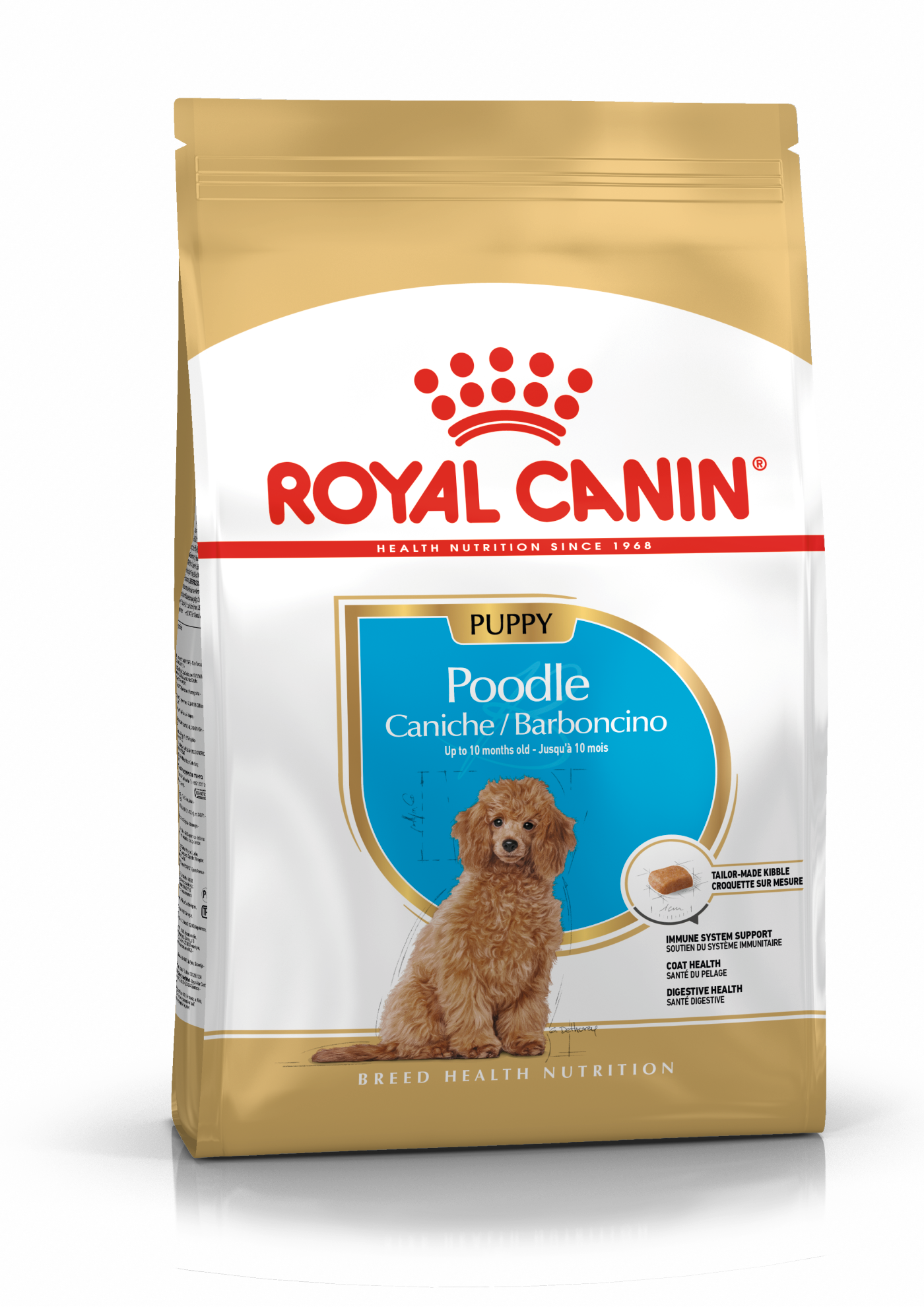 Royal Canin BHN Poodle Puppy | Cachorros