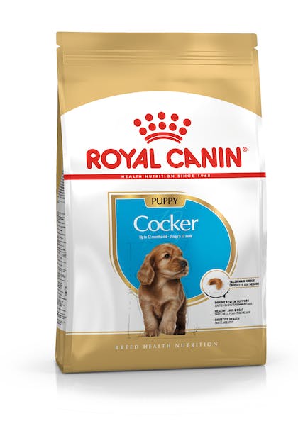 Royal Canin BHN Cocker Puppy | Cachorros