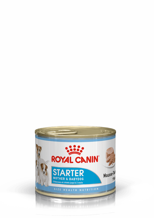 Royal Canin Lata Starter Mousse | CACHORRO