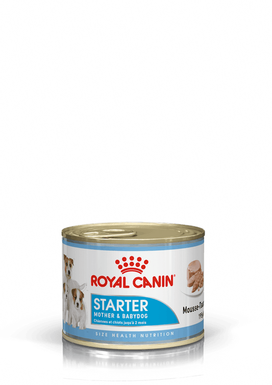 Royal Canin Lata Starter Mousse | CACHORRO