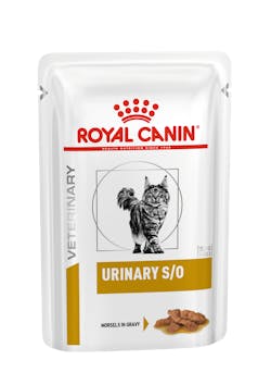 Royal Canin Sobre Urinary Chi Felino | ADULTO