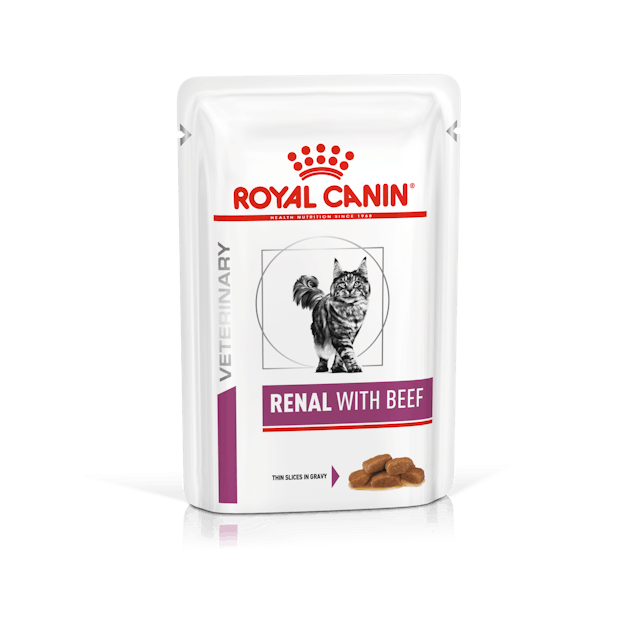 Royal Canin VHMF Renal Beef Felino Alimento Húmedo | ADULTO