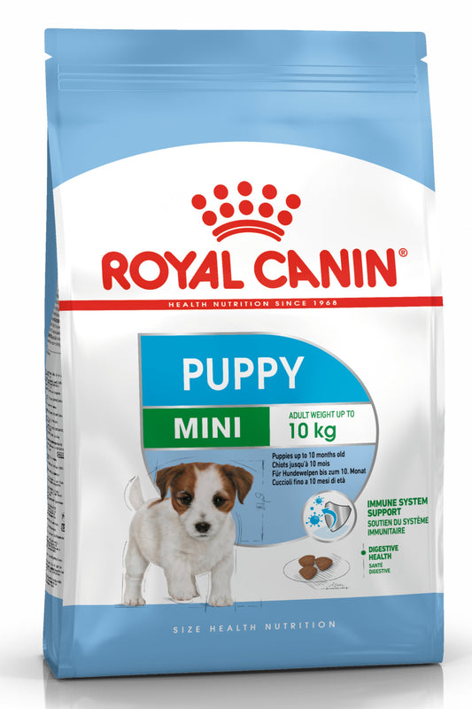 Royal Canin SHN Mini Puppy | Cachorros