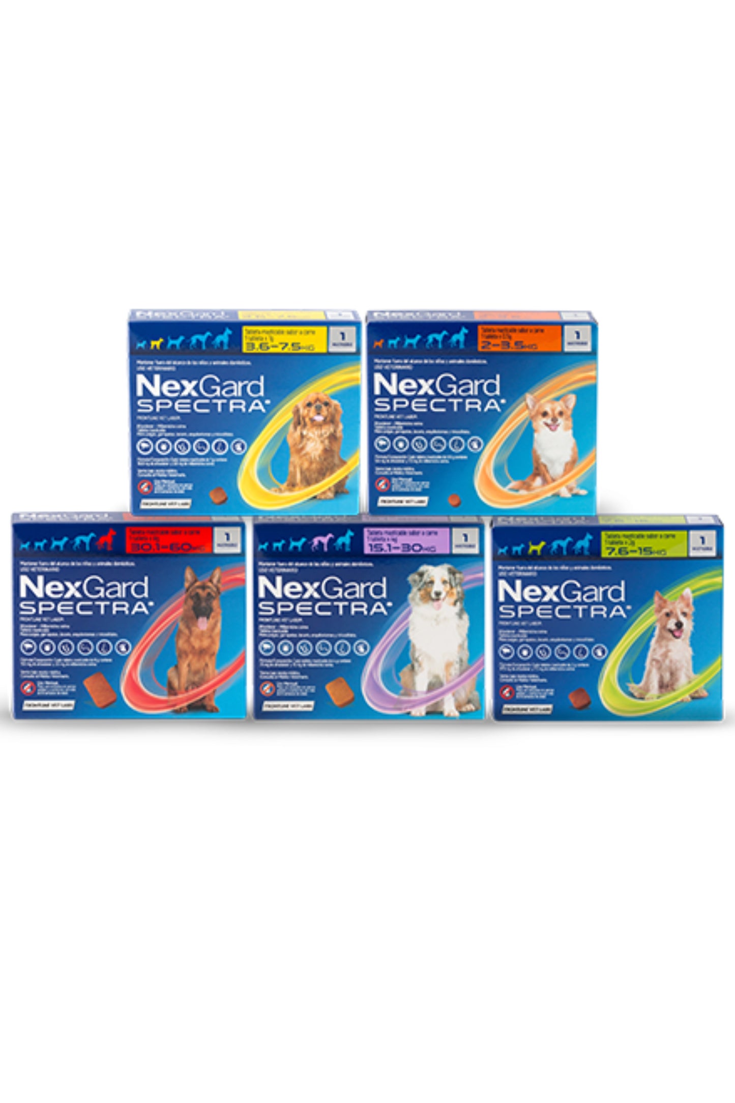 NexGard Spectra® | Anti pulgas, garrapatas y gusanos intestinales